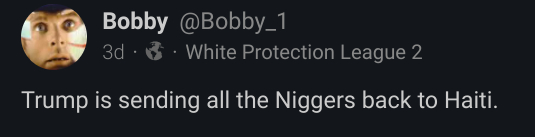 Racist_Bobbi.jpg