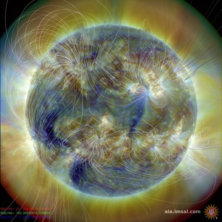 Solar_magnetic_fields.jpeg