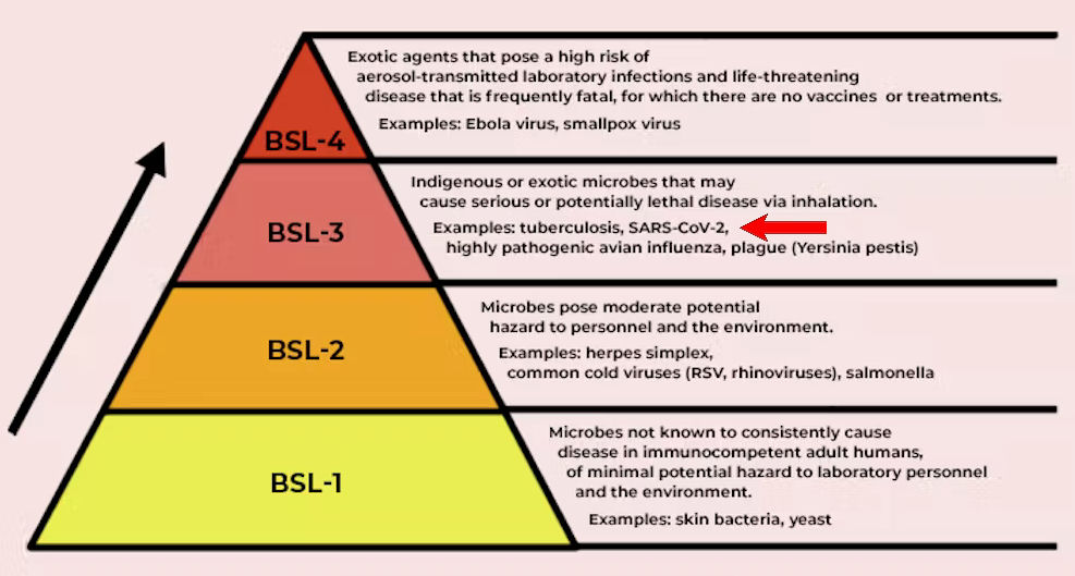 bsl.jpg