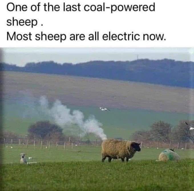 coal_powered_sheep_.jpg