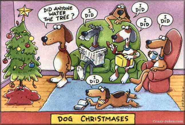 dog-christmas.jpg