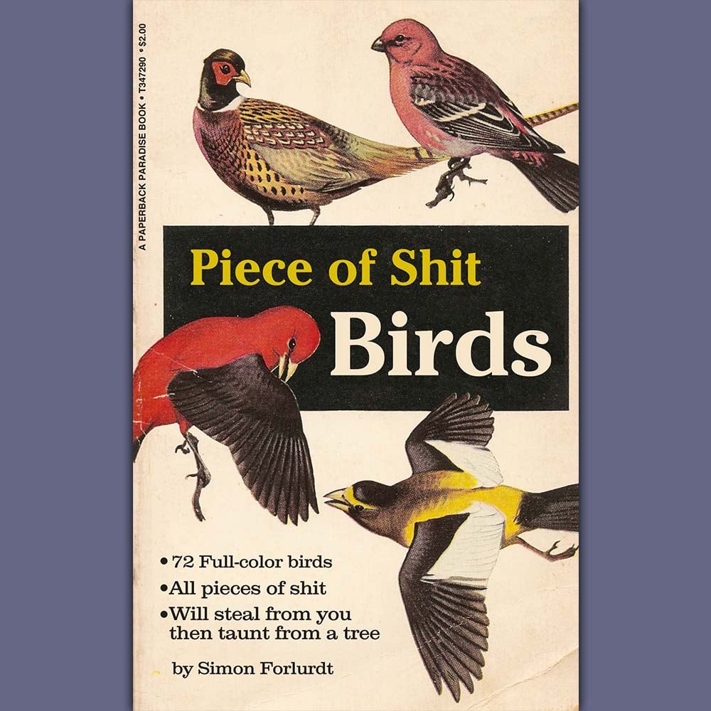 shit_birds.jpeg