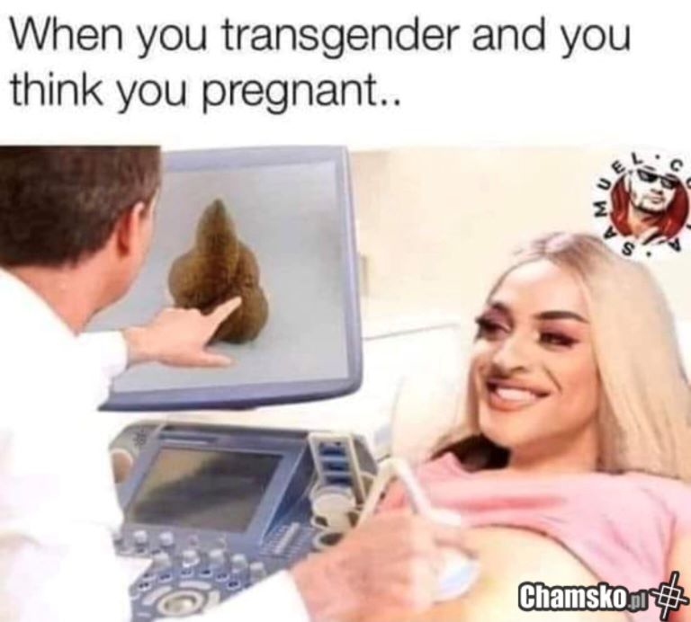 tranny_10.jpg